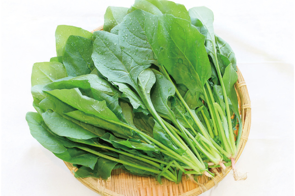 有機高原野菜　ほうれんそう