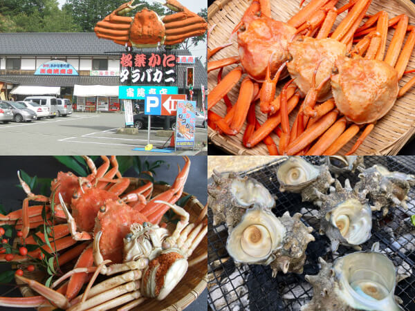 株式会社宿院商店